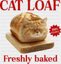 Cat Loaf Freshly Baked - Cats DTF Transfer ready2transfer