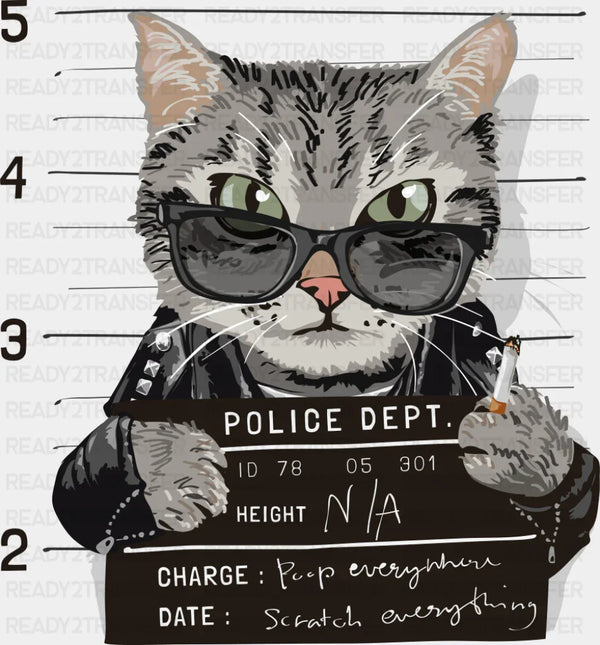 Cat Mugshot - Cats DTF Transfer