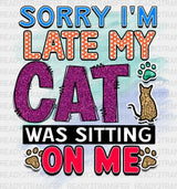 Cat Was Sıttıng On Me Dtf Transfer