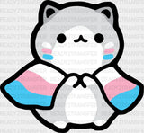 Cat With Trans Flag - Transsexual Iron On Dtf Transfer