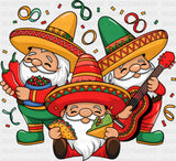 Celebration - Cinco De Mayo DTF Transfer