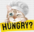 Chef Cat Hungry? - Cats DTF Transfer