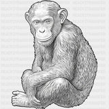 Chimpanzee B&W - Animals DTF Transfers - Adult Unisex - S & M (10’’) / Dark Color Design (See Imaging)