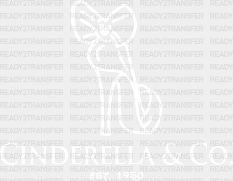 Cinderella & Co. Disney Dtf Transfer Adult Unisex - S M (10’) / White