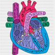 Colorful Heart Anatomy - Cardiac Nurse DTF Transfers ready2transfer Dark Color Design (See Imaging)