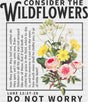 Consider The Wildflowers Do Not Worry - Christianity DTF Transfer Adult Unisex - S & M (10’’) / Dark Color Design (See