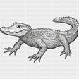 Crocodile B&W - Animals DTF Transfers - Adult Unisex - S & M (10’’) / Dark Color Design (See Imaging)