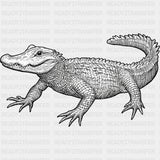 Crocodile B&W - Animals DTF Transfers - Adult Unisex - S & M (10’’) / Dark Color Design (See Imaging)