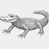 Crocodile B&W - Animals DTF Transfers - Adult Unisex - S & M (10’’) / Light Color Design (See Imaging)