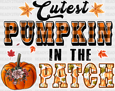 Cutest Pumpkin In The Patch - Fall Dtf Transfer Adult Unisex S & M (10’’) / Light Color Design