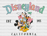 Disneyland California Disney Dtf Transfer Adult Unisex - S & M (10’) / Black