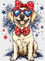 Dog And Fireworks - 4th Of July DTF Transfer