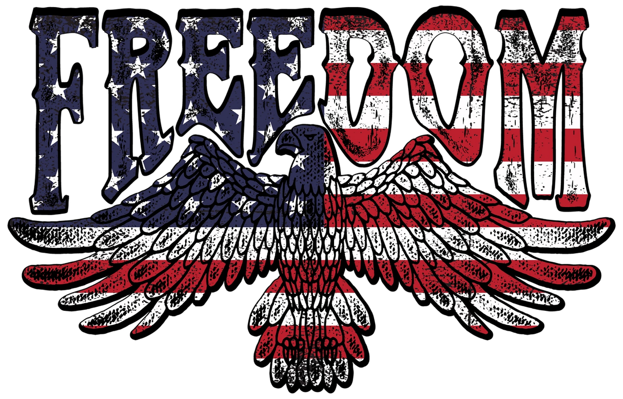 Freedom 4th Of July DTF Heat Transfer, Independence Day Design, Fourth Of July DTF