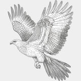 Eagle B&W - Animals DTF Transfers - Adult Unisex - S & M (10’’) / Light Color Design (See Imaging)