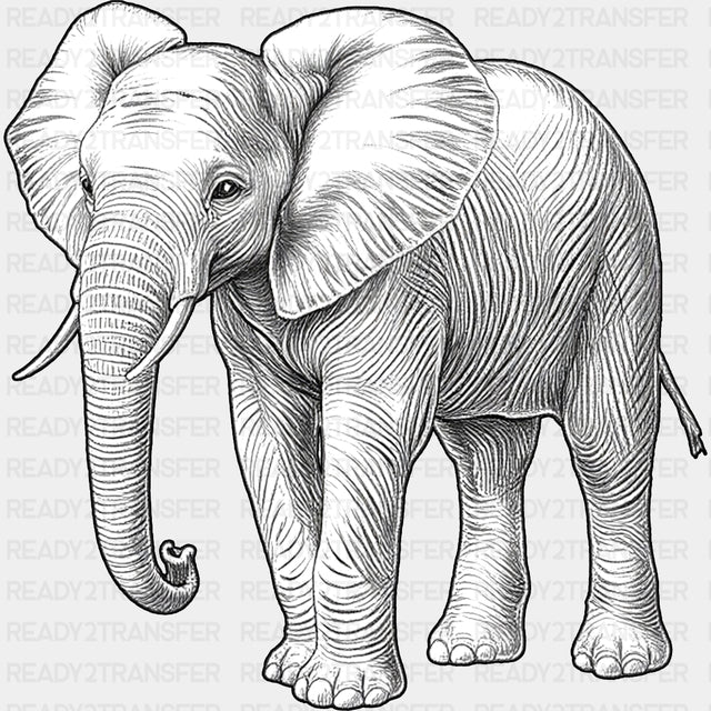Elephant B&W - Animals DTF Transfers - Adult Unisex - S & M (10’’) / Dark Color Design (See Imaging)