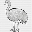 Emu B&W - Animals DTF Transfers - Adult Unisex - S & M (10’’) / Dark Color Design (See Imaging)