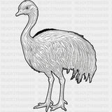 Emu B&W - Animals DTF Transfers - Adult Unisex - S & M (10’’) / Dark Color Design (See Imaging)