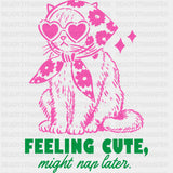 Feeling Cute Might Nap Later - Funny DTF Transfers