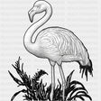 Flamingo B&W - Animals DTF Transfers - Adult Unisex - S & M (10’’) / Dark Color Design (See Imaging)