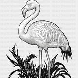 Flamingo B&W - Animals DTF Transfers - Adult Unisex - S & M (10’’) / Dark Color Design (See Imaging)