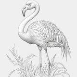Flamingo B&W - Animals DTF Transfers - Adult Unisex - S & M (10’’) / Light Color Design (See Imaging)