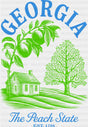 Georgia The Peach State - States & Cities DTF Transfer ready2transfer