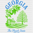 Georgia The Peach State - States & Cities DTF Transfer ready2transfer