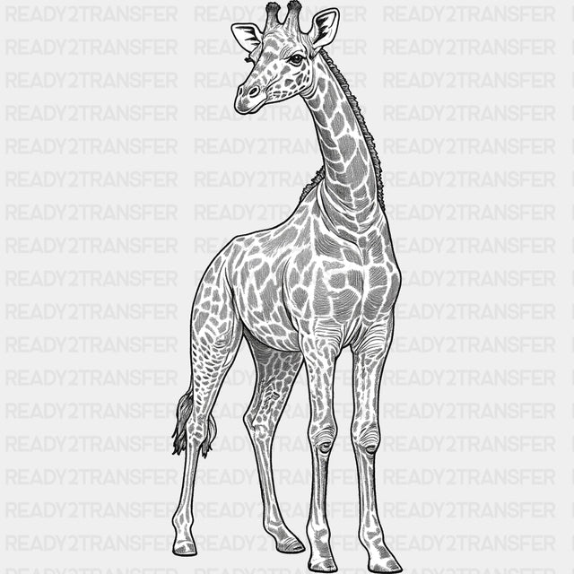 Giraffe B&W - Animals DTF Transfers - Adult Unisex - S & M (10’’) / Dark Color Design (See Imaging)