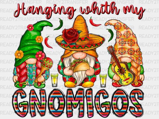 Gnomigos DTF Transfer