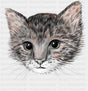 Gray Tabby - Cats DTF Transfer