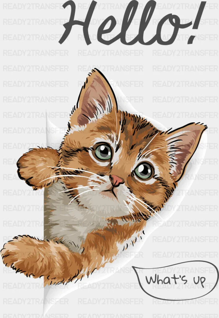 Hello What’s Up - Cats DTF Transfer