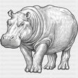Hippopotamus B&W - Animals DTF Transfers - Adult Unisex - S & M (10’’) / Dark Color Design (See Imaging)