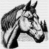Horse Portrait B&W - Animals DTF Transfers - Adult Unisex - S & M (10’’) / Dark Color Design (See Imaging)