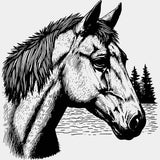 Horse Portrait B&W - Animals DTF Transfers - Adult Unisex - S & M (10’’) / Light Color Design (See Imaging)