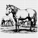 Horses Grazing - Animals DTF Transfers - Adult Unisex - S & M (10’’) / Dark Color Design (See Imaging)