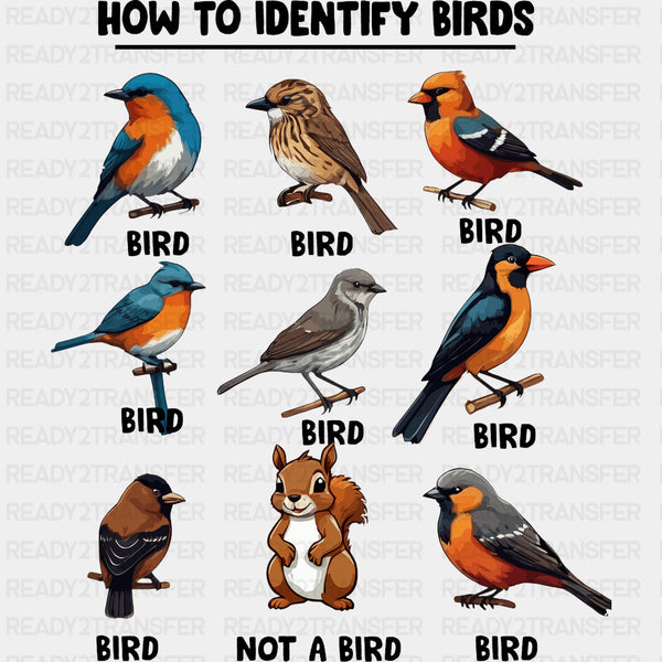 How To Identify Birds - Birds DTF Transfers