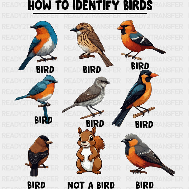 How To Identify Birds - Birds DTF Transfers ready2transfer Dark Color Design (See Imaging)