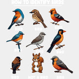 How To Identify Birds - Birds DTF Transfers ready2transfer Light Color Design (See Imaging)