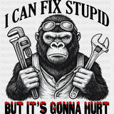 I Can Fix Stupid, But It's Gonna Hurt - Funny DTF Transfers ready2transfer Dark Color Design (See Imaging)