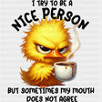 I Try To Be A Nice Person - Funny DTF Transfers ready2transfer Dark Color Design (See Imaging)