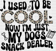 I Used To Be Cool Now I’m Just My Dogs Snack Dealer - Dogs DTF Transfer Adult Unisex - S & M (10’’) / Dark Color Design