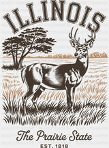 Illinois The Prairie State - States & Cities DTF Transfer ready2transfer