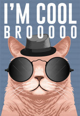 I’m Cool Brooooo - Cats DTF Transfer