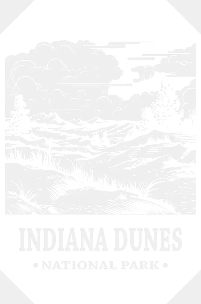 Indiana Dunes National Park Design - National Parks DTF Transfers ready2transfer White