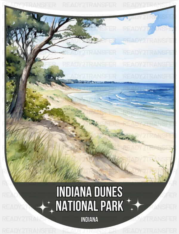 Indiana Dunes National Park Indiana - National Parks DTF Transfer