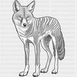 Jackal B&W - Animals DTF Transfers - Adult Unisex - S & M (10’’) / Dark Color Design (See Imaging)