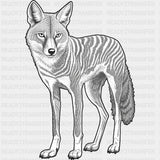 Jackal B&W - Animals DTF Transfers - Adult Unisex - S & M (10’’) / Dark Color Design (See Imaging)