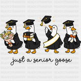 Just A Senior Goose - Senior DTF Transfers - Adult Unisex - S & M (10’’) / Dark Color Design (See Imaging)