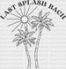 Last Splash Bach Summer DTF Transfer ready2transfer Black