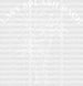 Last Splash Bach Summer DTF Transfer ready2transfer White